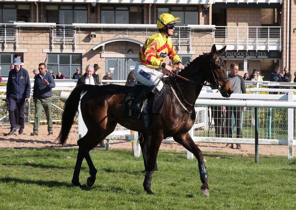 Saumur Cup Handicap Chase