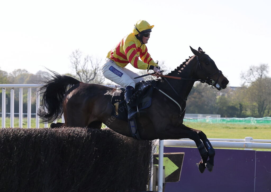 Saumur Cup Handicap Chase