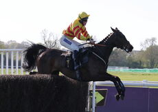 Saumur Cup Handicap Chase