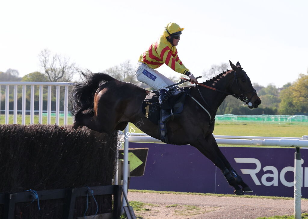 Saumur Cup Handicap Chase