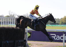 Saumur Cup Handicap Chase