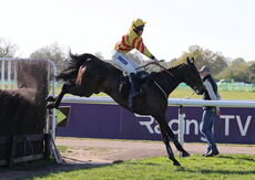 Saumur Cup Handicap Chase