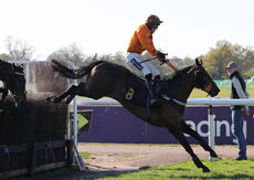 Saumur Cup Handicap Chase