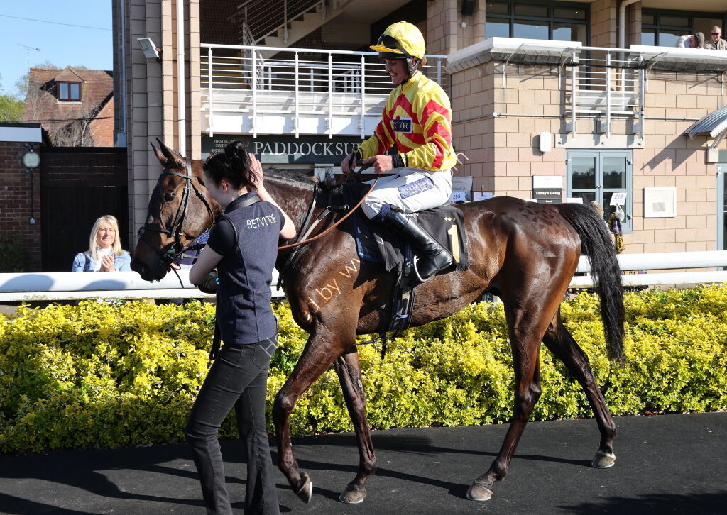 Saumur Cup Handicap Chase