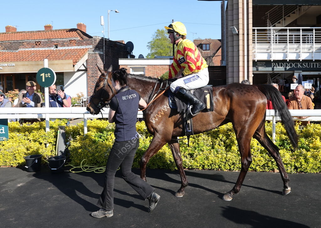 Saumur Cup Handicap Chase