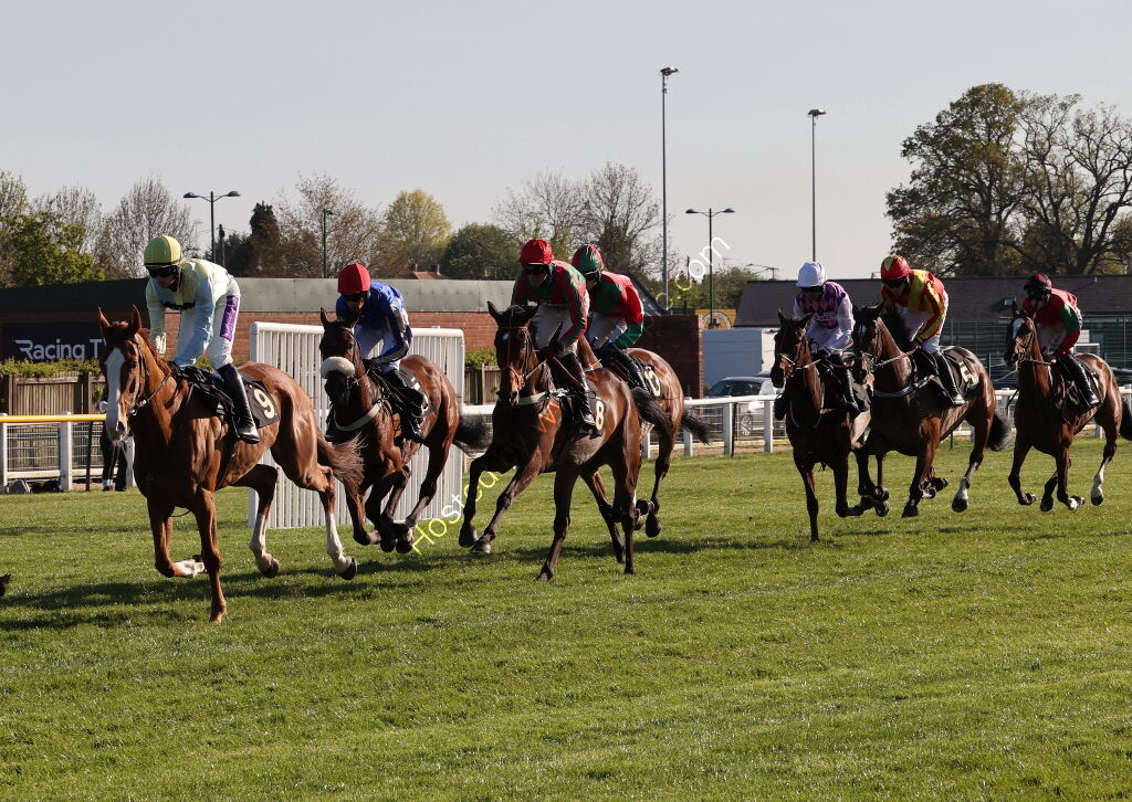 Molly Ollys Open NH Flat Race