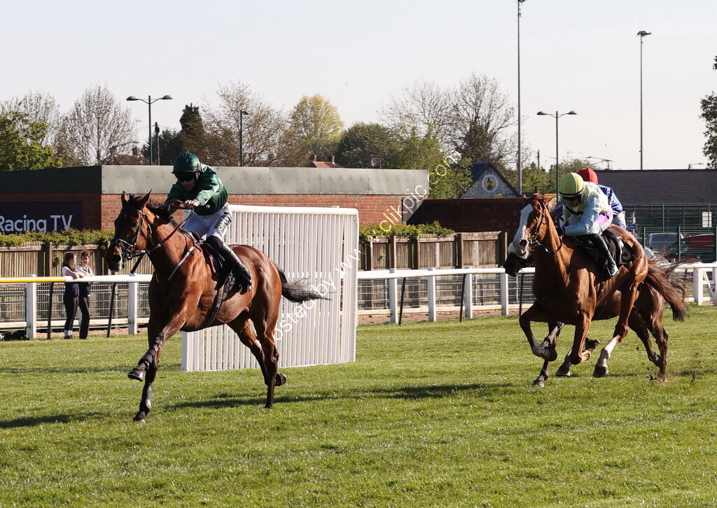 Molly Ollys Open NH Flat Race