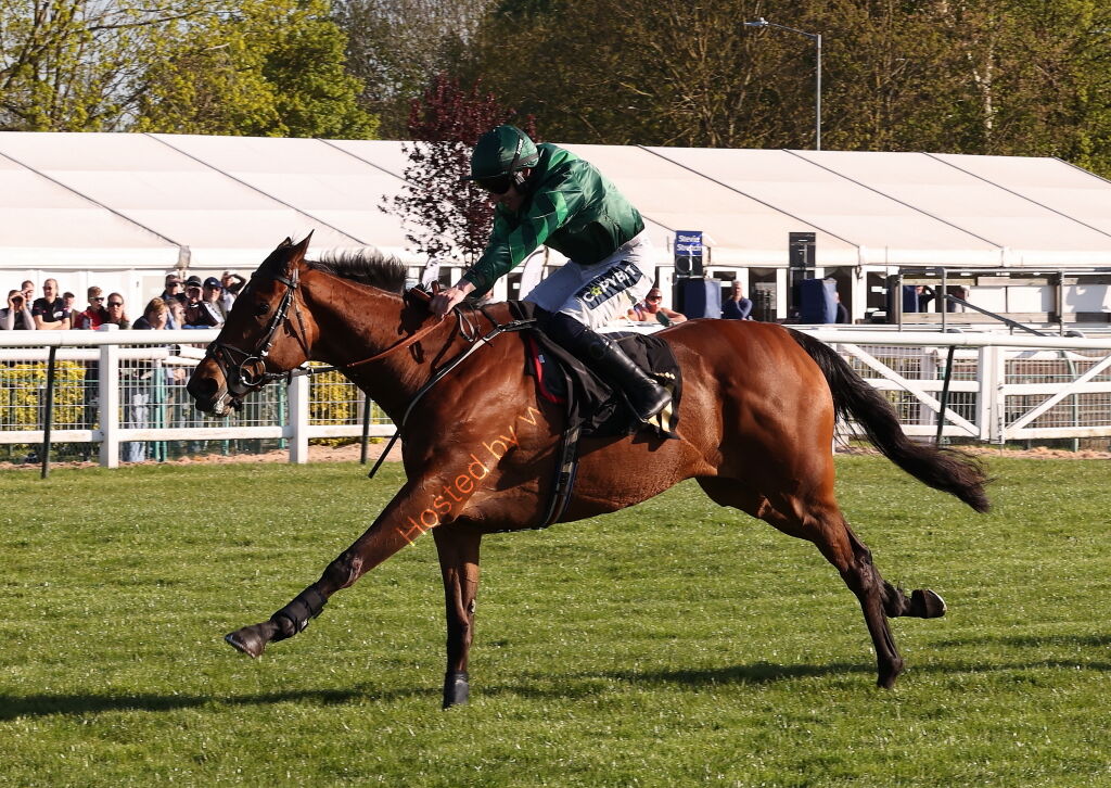 Molly Ollys Open NH Flat Race