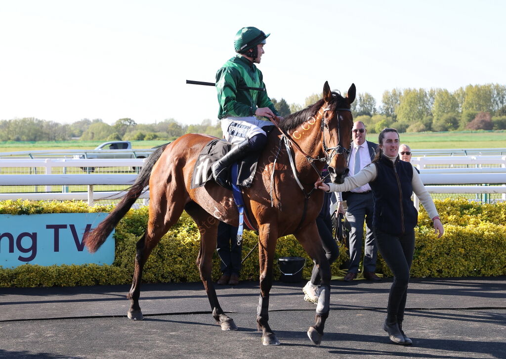 Molly Ollys Open NH Flat Race