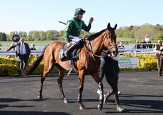 Molly Ollys Open NH Flat Race