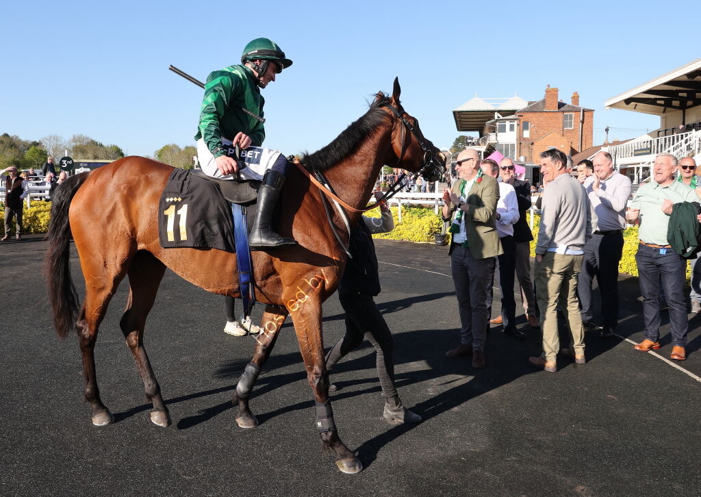 Molly Ollys Open NH Flat Race