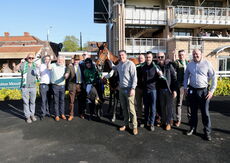 Molly Ollys Open NH Flat Race