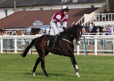 Connolly's Red Mills Open Hunters' Chase
