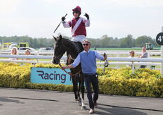 Connolly's Red Mills Open Hunters' Chase