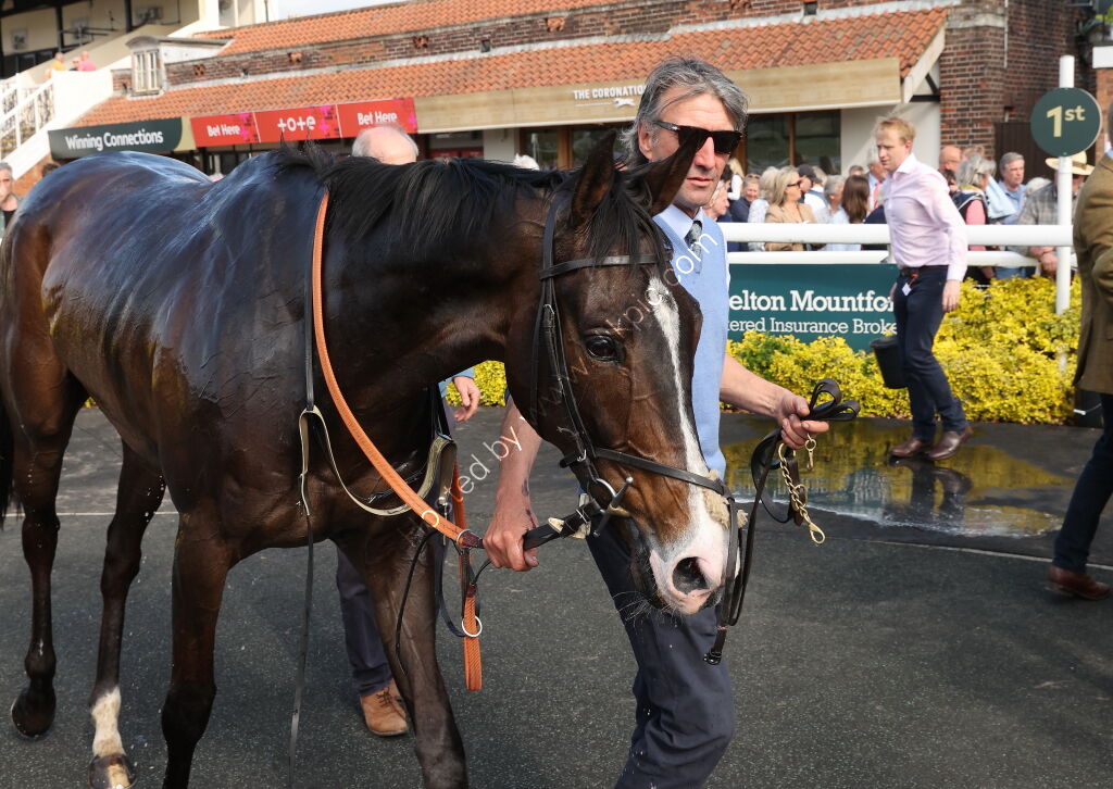 Connolly's Red Mills Open Hunters' Chase