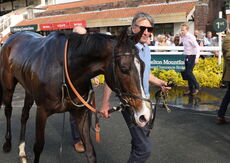 Connolly's Red Mills Open Hunters' Chase