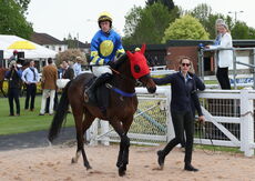 Pertemps Network Intermediate Point-to-Point Hunters' Chase