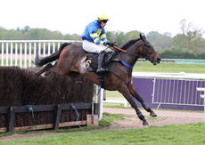 Pertemps Network Intermediate Point-to-Point Hunters' Chase