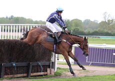 Pertemps Network Intermediate Point-to-Point Hunters' Chase
