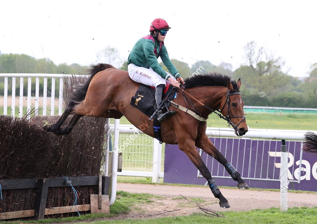 Pertemps Network Intermediate Point-to-Point Hunters' Chase