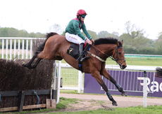 Pertemps Network Intermediate Point-to-Point Hunters' Chase