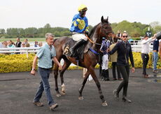 Pertemps Network Intermediate Point-to-Point Hunters' Chase