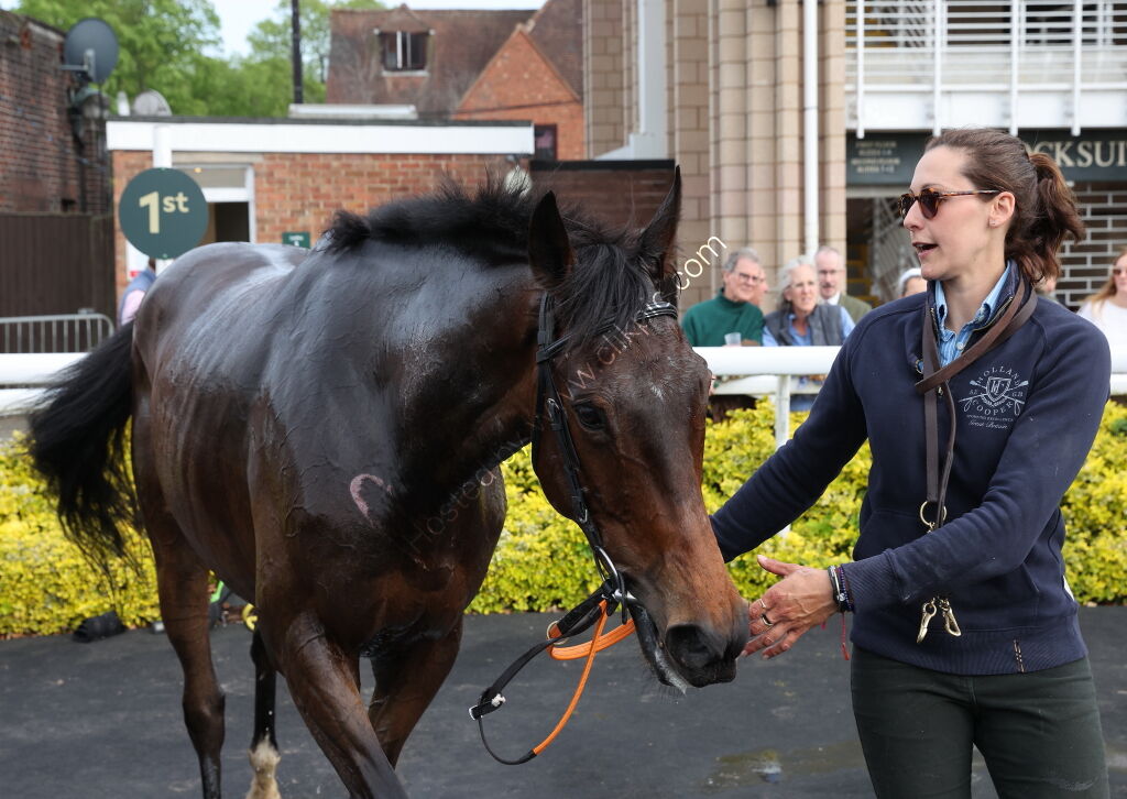 Pertemps Network Intermediate Point-to-Point Hunters' Chase
