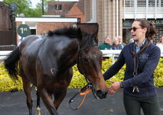 Pertemps Network Intermediate Point-to-Point Hunters' Chase