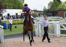 GB Pointing Open Hunters' Chase