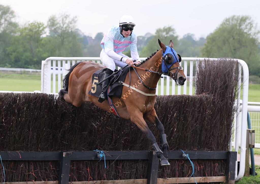 GB Pointing Open Hunters' Chase