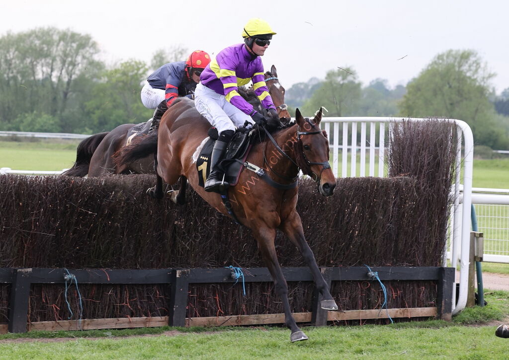 GB Pointing Open Hunters' Chase