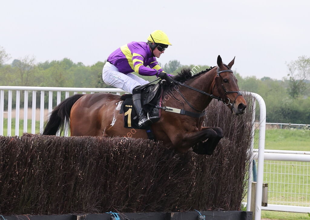 GB Pointing Open Hunters' Chase