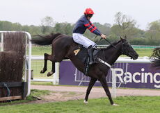 GB Pointing Open Hunters' Chase