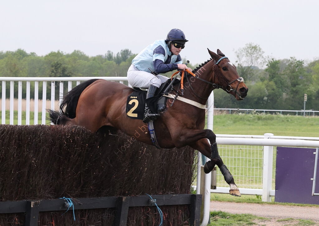 GB Pointing Open Hunters' Chase