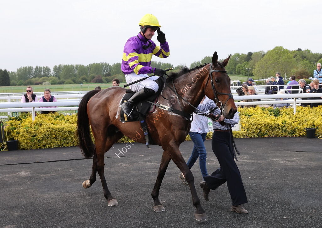 GB Pointing Open Hunters' Chase