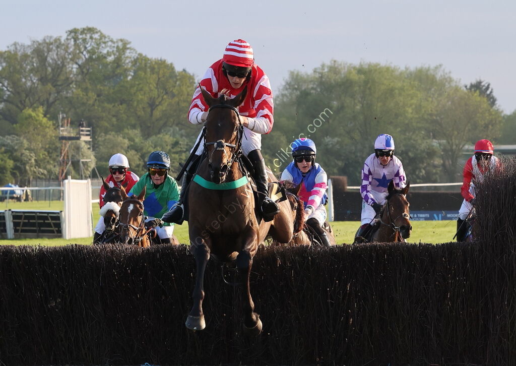 Natural Green Mares' Open Hunters' Chase