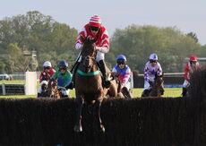 Natural Green Mares' Open Hunters' Chase