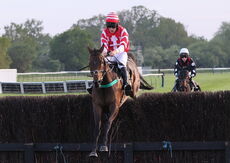 Natural Green Mares' Open Hunters' Chase