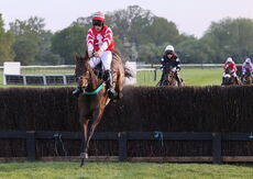 Natural Green Mares' Open Hunters' Chase