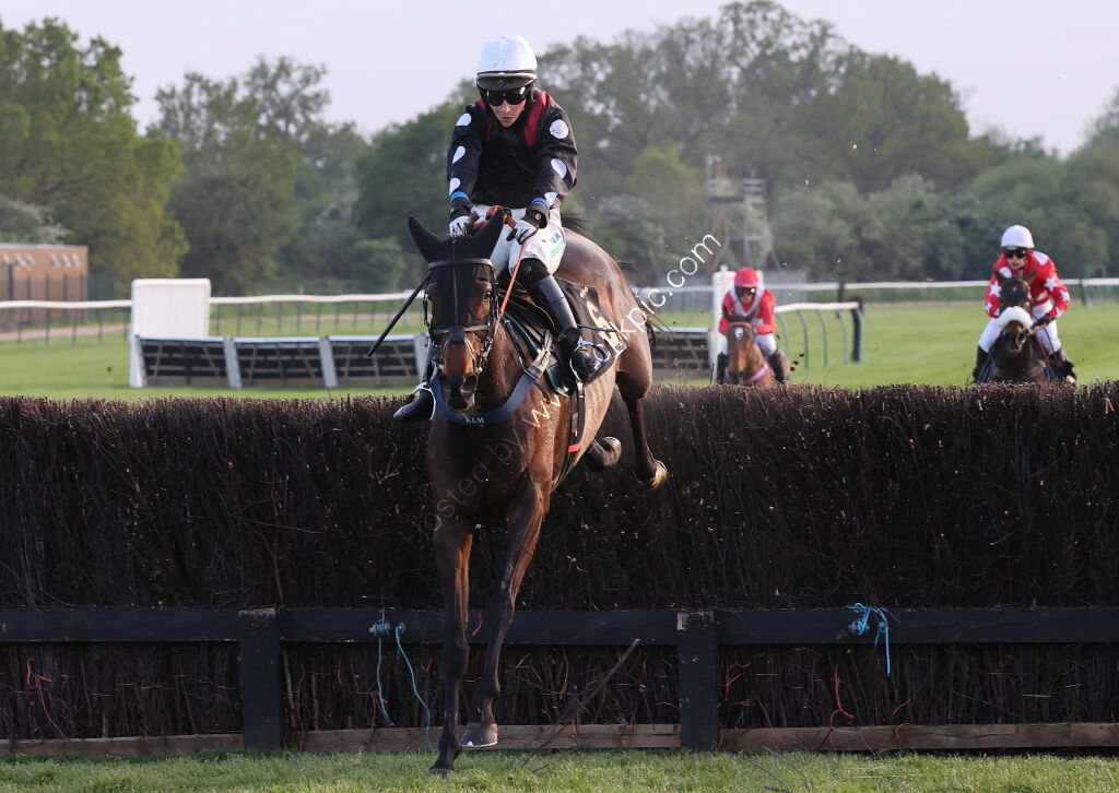 Natural Green Mares' Open Hunters' Chase