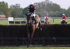 Natural Green Mares' Open Hunters' Chase