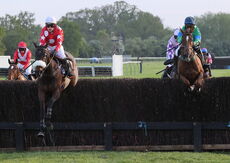 Natural Green Mares' Open Hunters' Chase