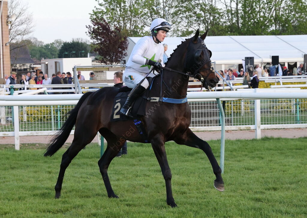Foran Equine Open Hunters' Chase