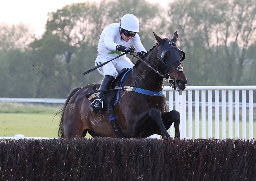 Foran Equine Open Hunters' Chase