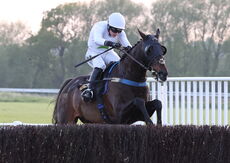 Foran Equine Open Hunters' Chase