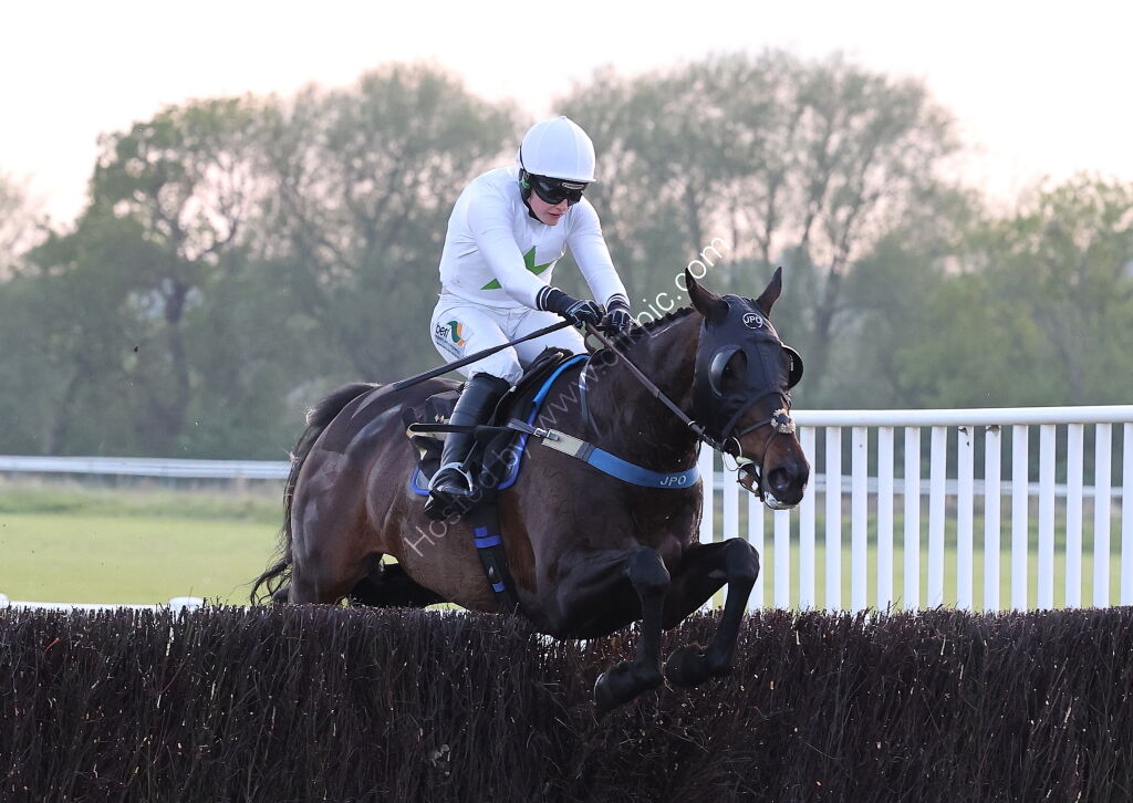 Foran Equine Open Hunters' Chase