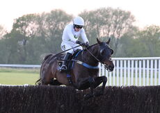 Foran Equine Open Hunters' Chase