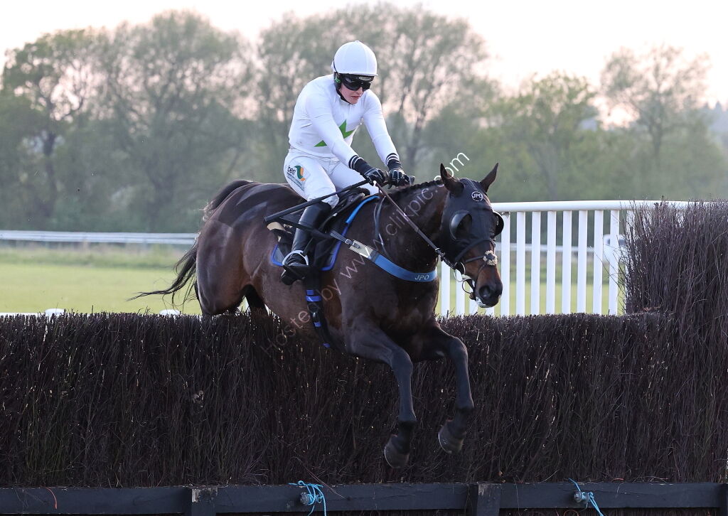 Foran Equine Open Hunters' Chase