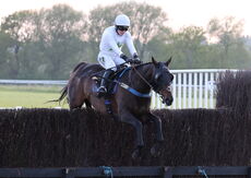 Foran Equine Open Hunters' Chase