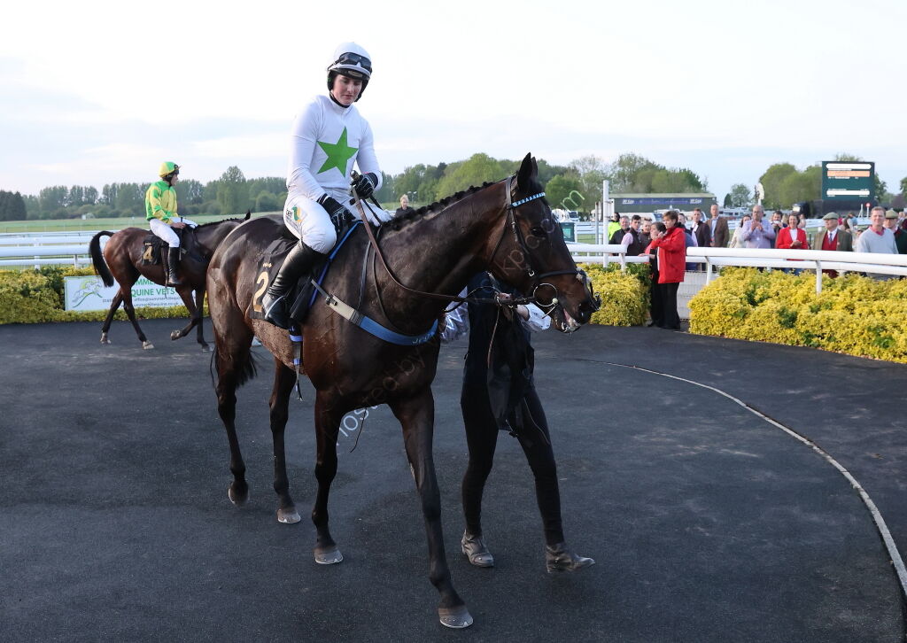 Foran Equine Open Hunters' Chase